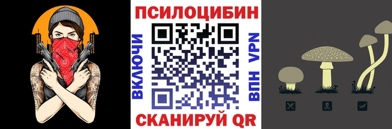 Псилоцибиновые грибы Cubensis  Волоколамск 